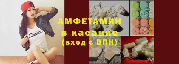 шишки Осташков