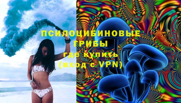 мяу мяу мука Баксан