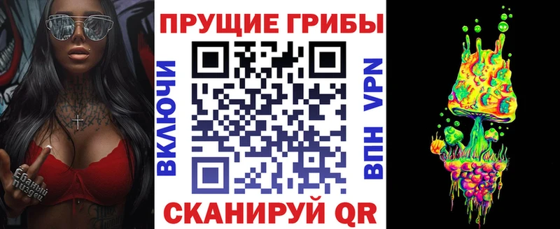 как найти наркотики  Облучье  Галлюциногенные грибы Cubensis 