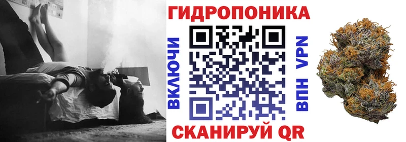 Бошки Шишки планчик купить наркотики цена Облучье